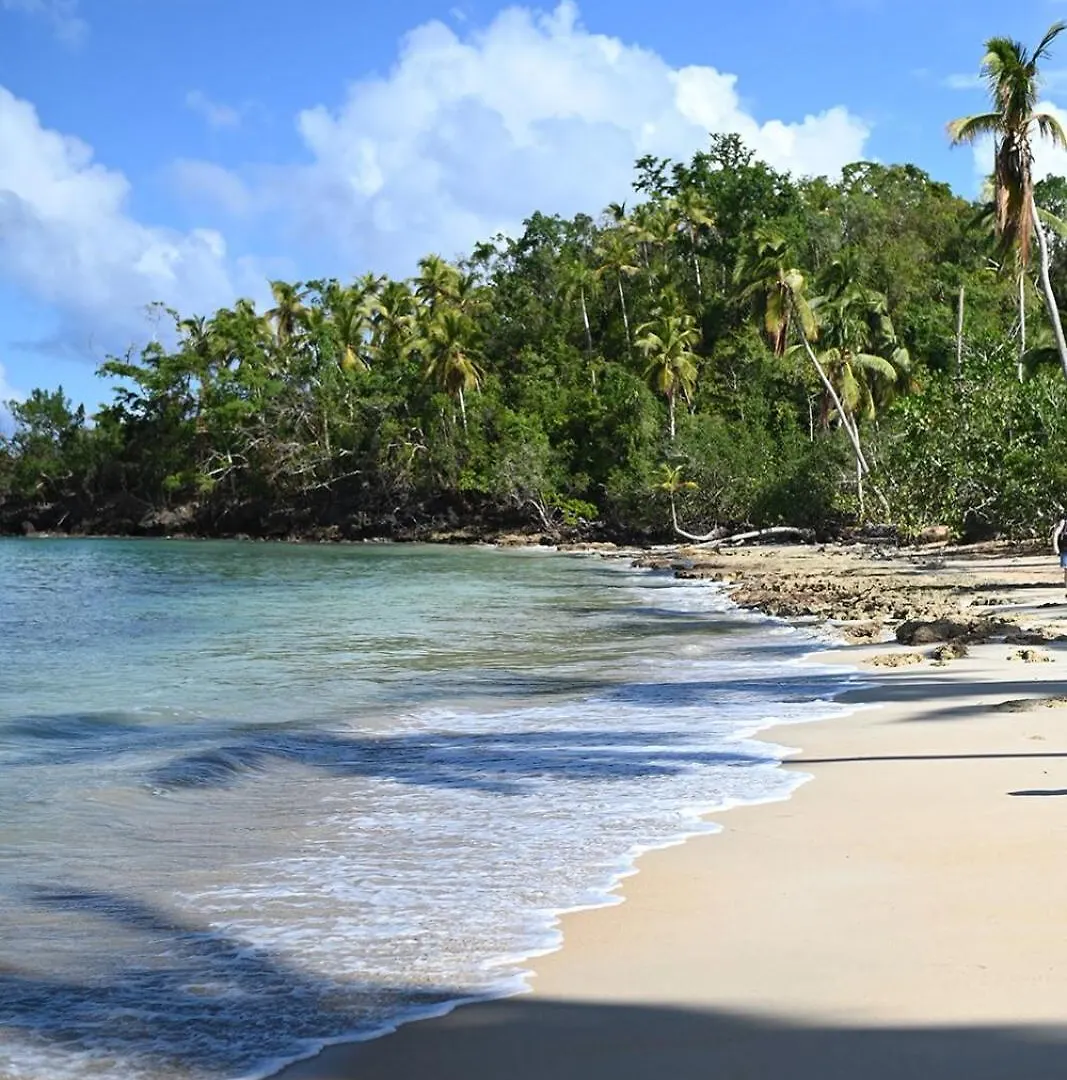La Anshihi Apartamento Las Terrenas República Dominicana